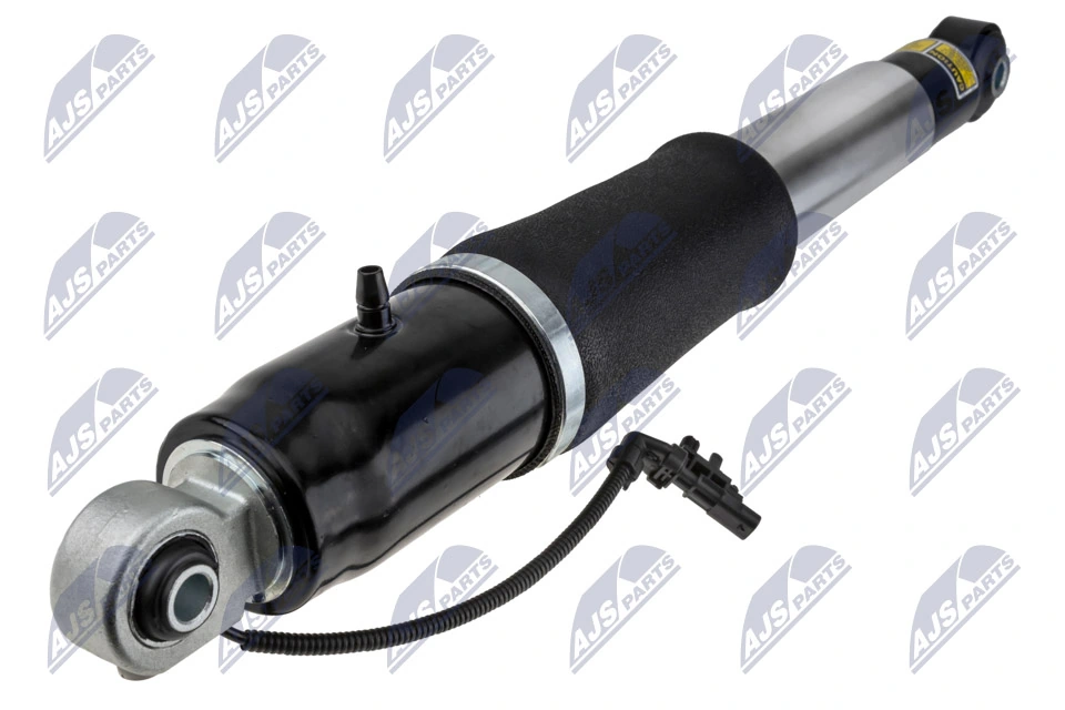 Air Suspension Strut A-CH-010
