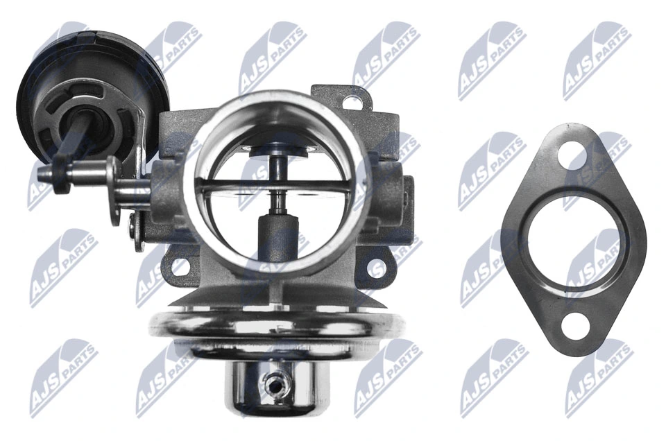 EGR Valve EGR-AU-000