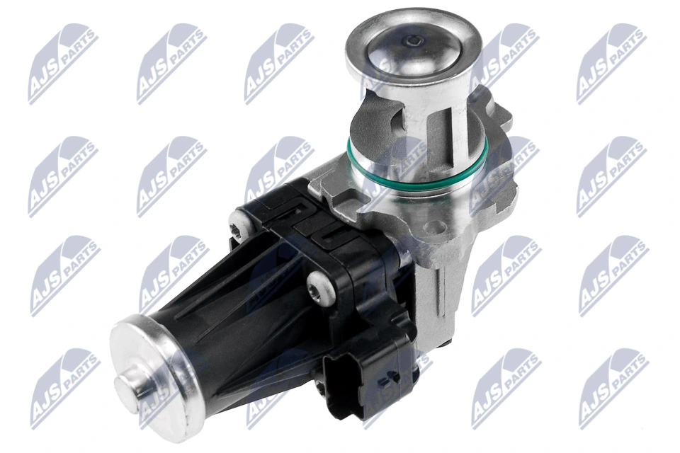 EGR Valve EGR-FR-010