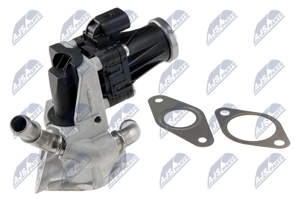 EGR Valve EGR-FR-029