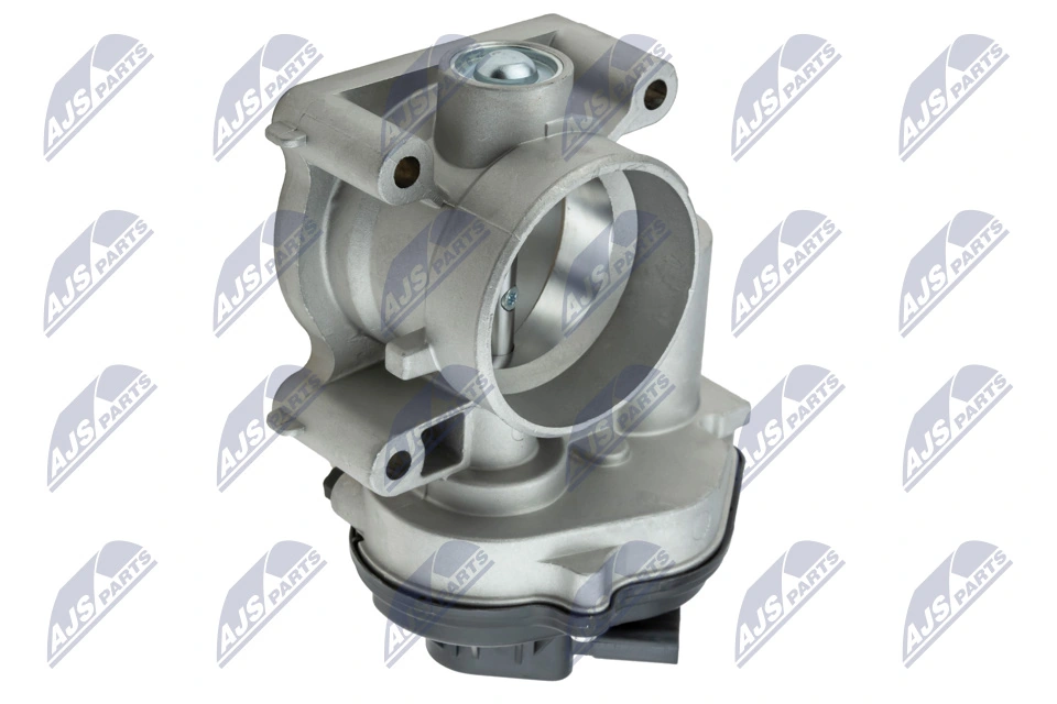 Throttle Body ETB-FR-004