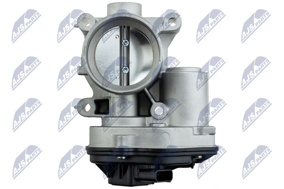 Throttle Body ETB-FR-004