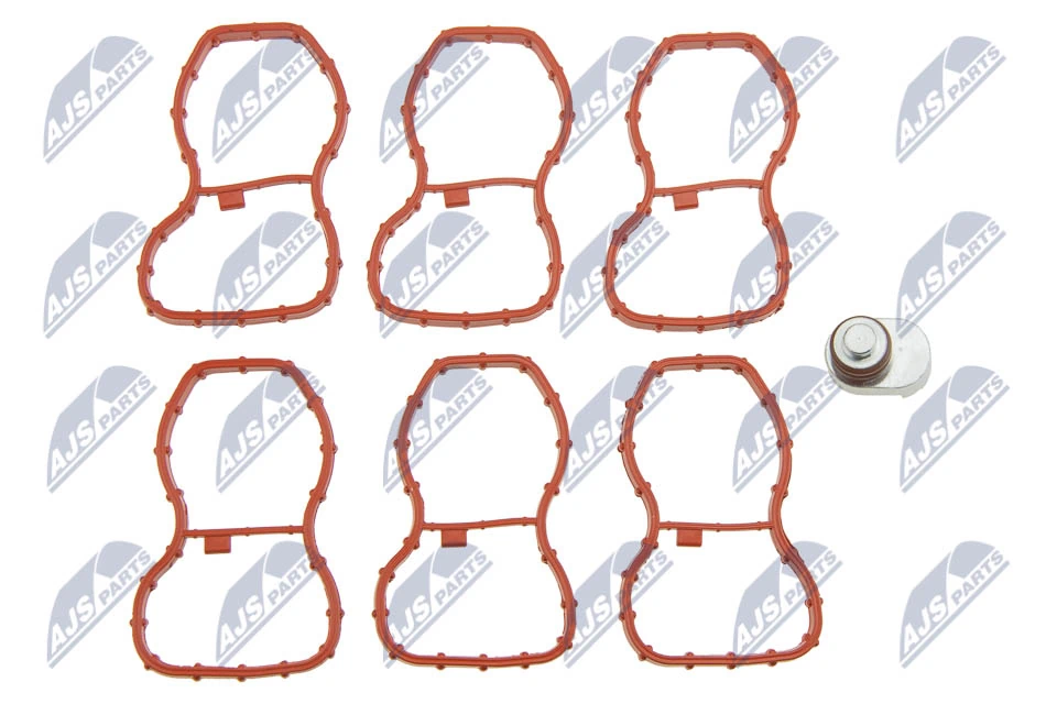 Repair Kit, intake manifold module BKS-BM-023