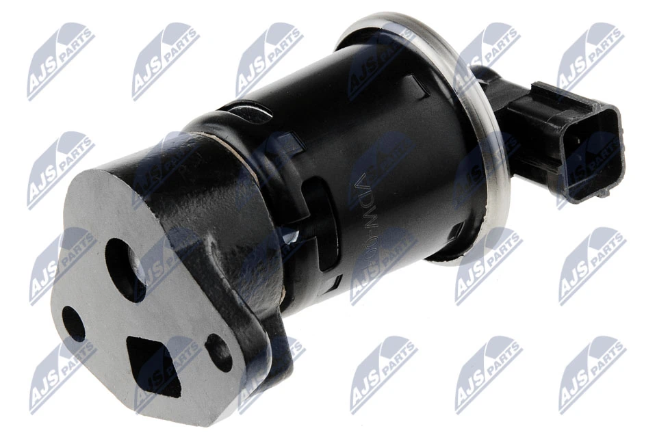 EGR Valve EGR-DW-001