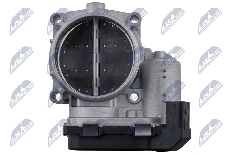 Throttle Body ETB-BM-012