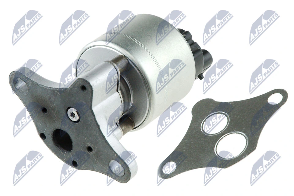 EGR Valve EGR-PL-005