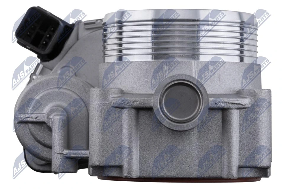 Throttle Body ETB-BM-011