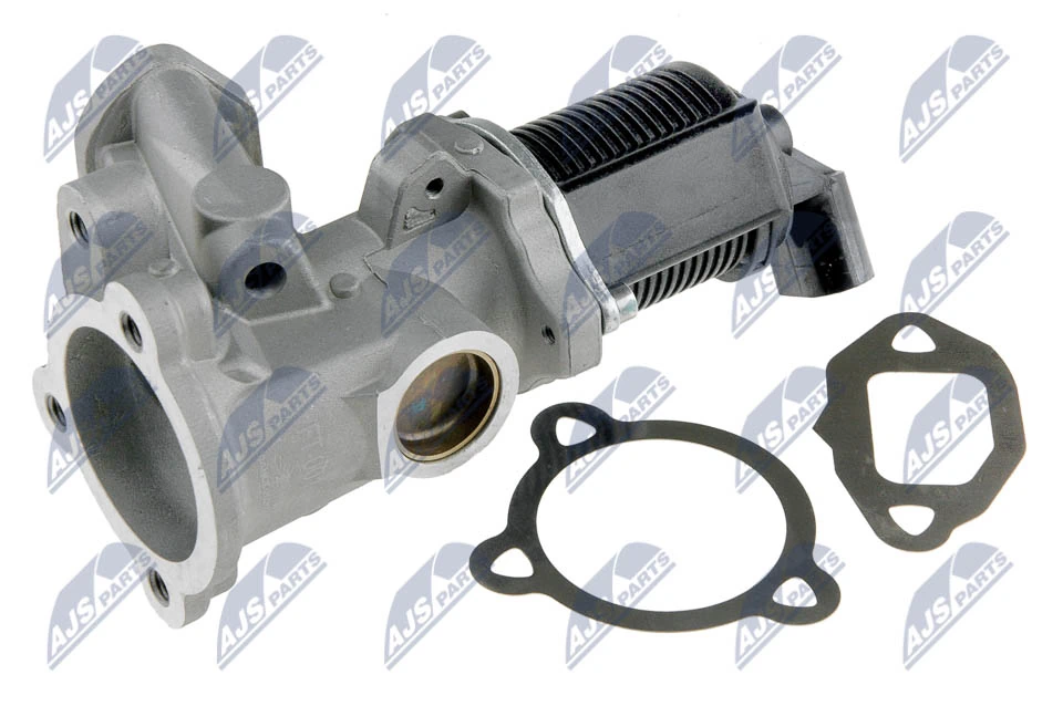 EGR Valve EGR-FT-001