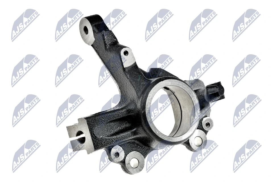 Steering Knuckle, wheel suspension ZZP-PL-011