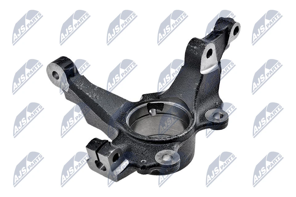 Steering Knuckle, wheel suspension ZZP-PL-008