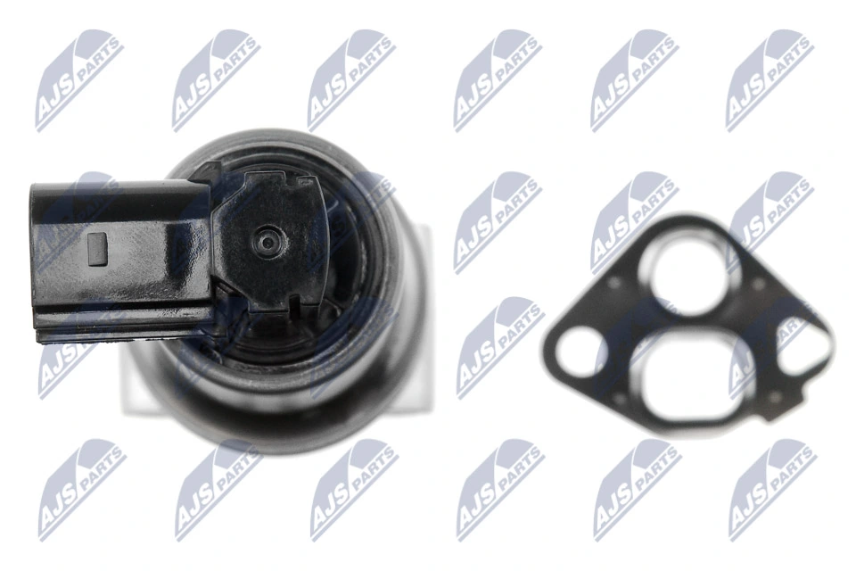 EGR Valve EGR-VW-001