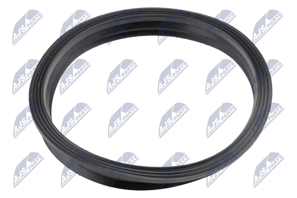 Gasket, fuel pump BPP-VW-005