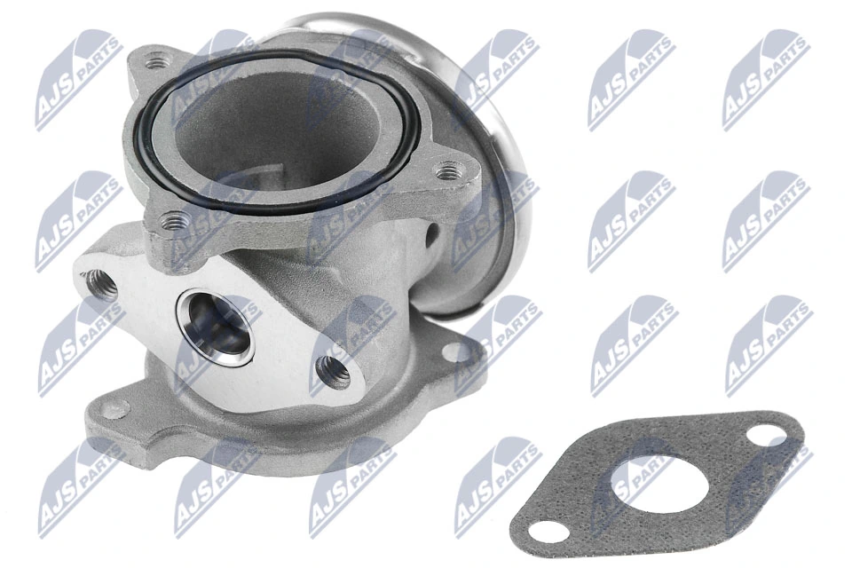 NTY EGR-SK-002 EGR Valve
