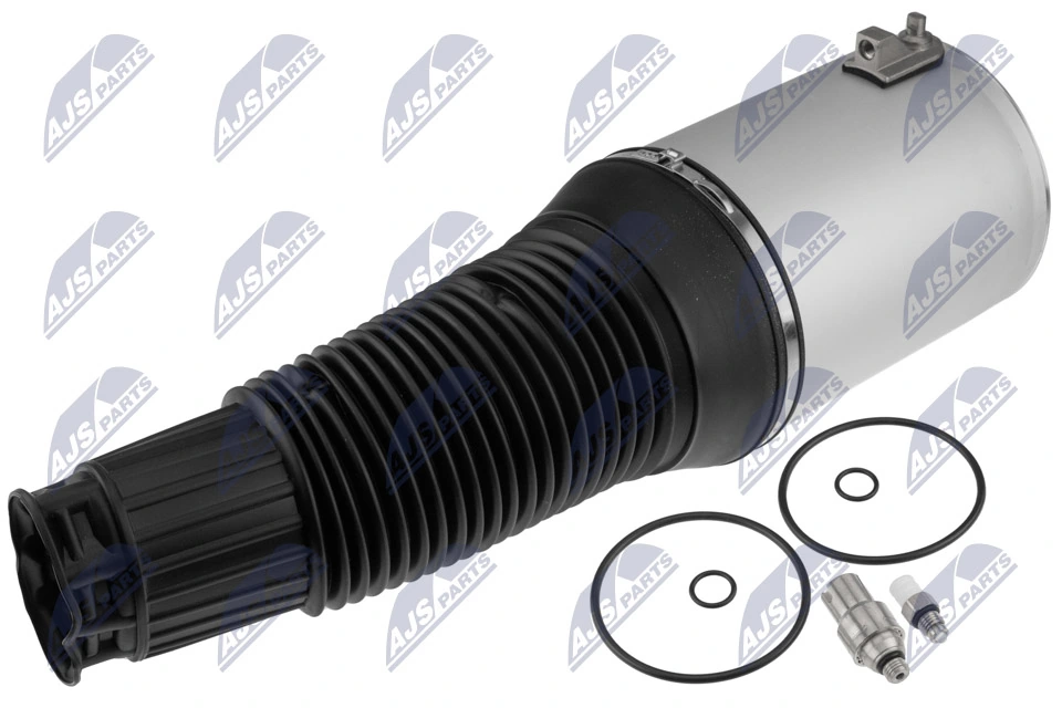 Air Suspension Strut EZC-AU-248