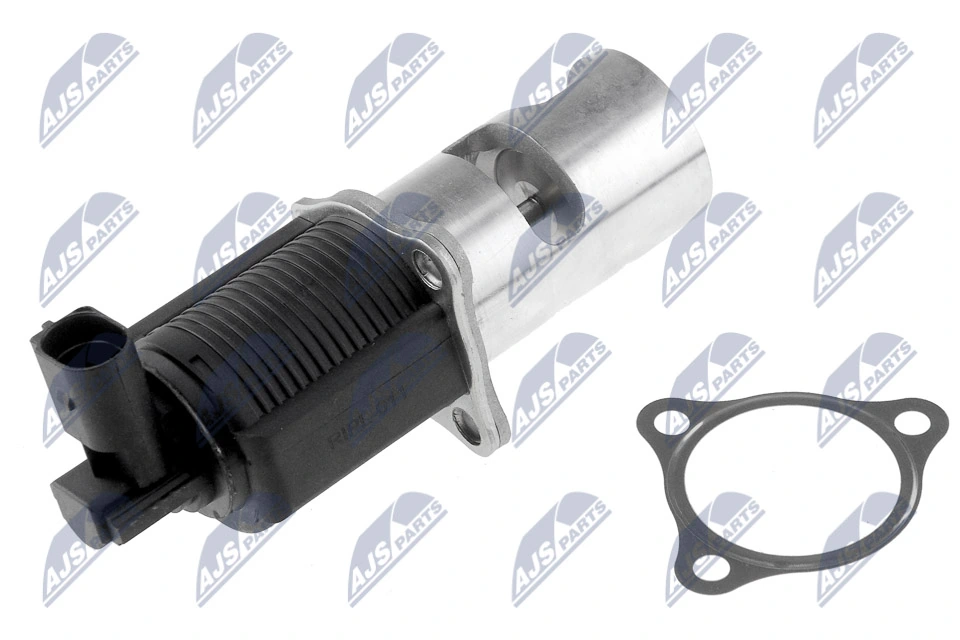 EGR Valve EGR-PL-011