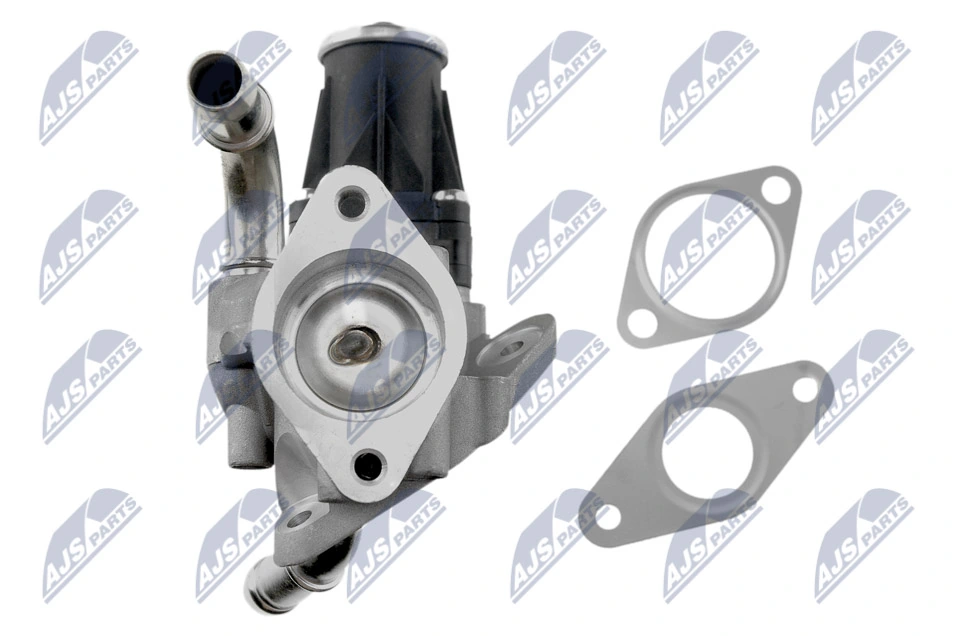 NTY EGR-FR-007 EGR Valve