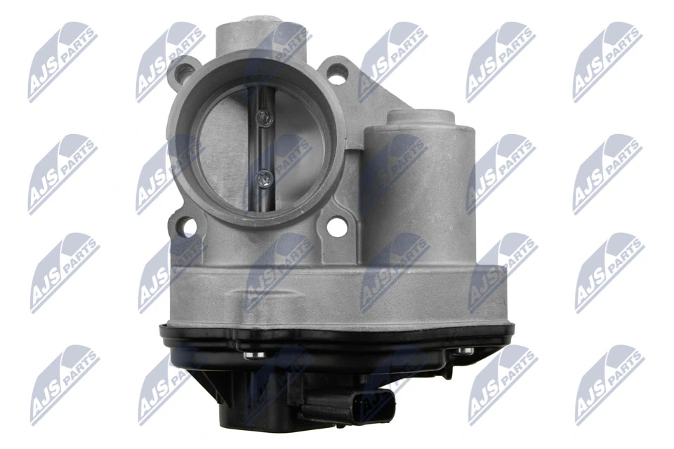 Throttle Body ETB-FR-001