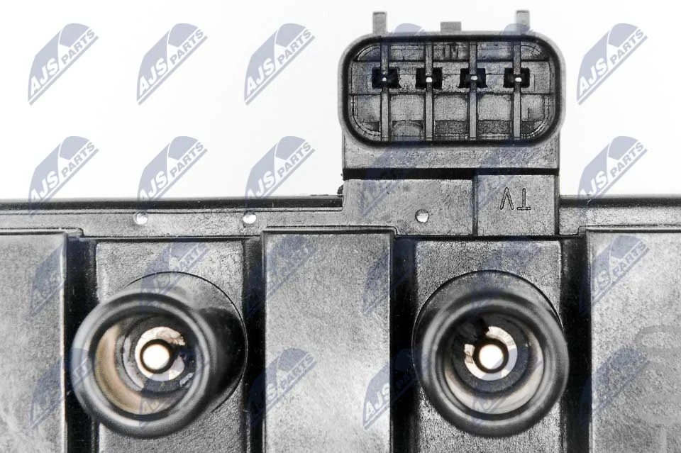 Ignition Coil ECZ-FR-020