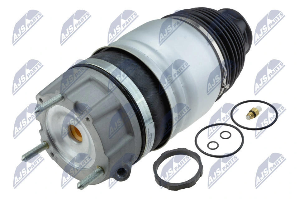 Air Suspension Strut EZC-PS-019