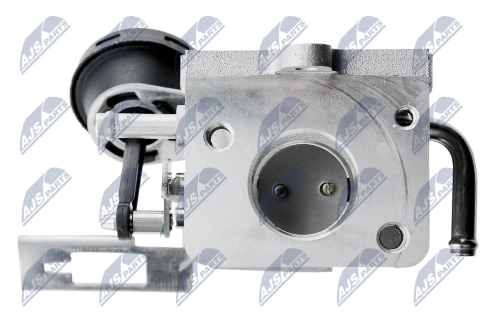 NTY EGR-AU-031 EGR Valve