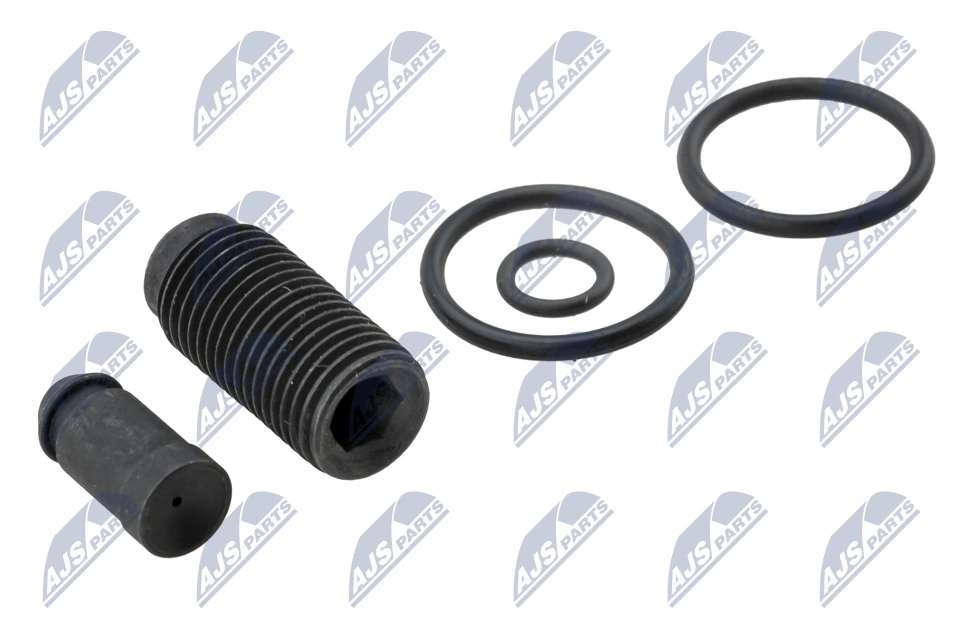 Repair Kit, unit injector BWP-VW-009