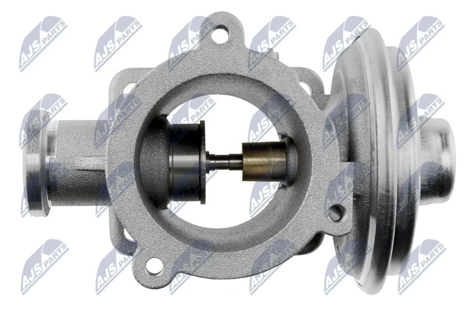 EGR Valve EGR-BM-003