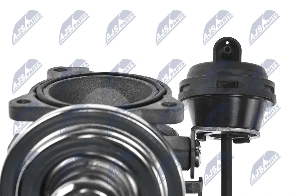 EGR Valve EGR-AU-000