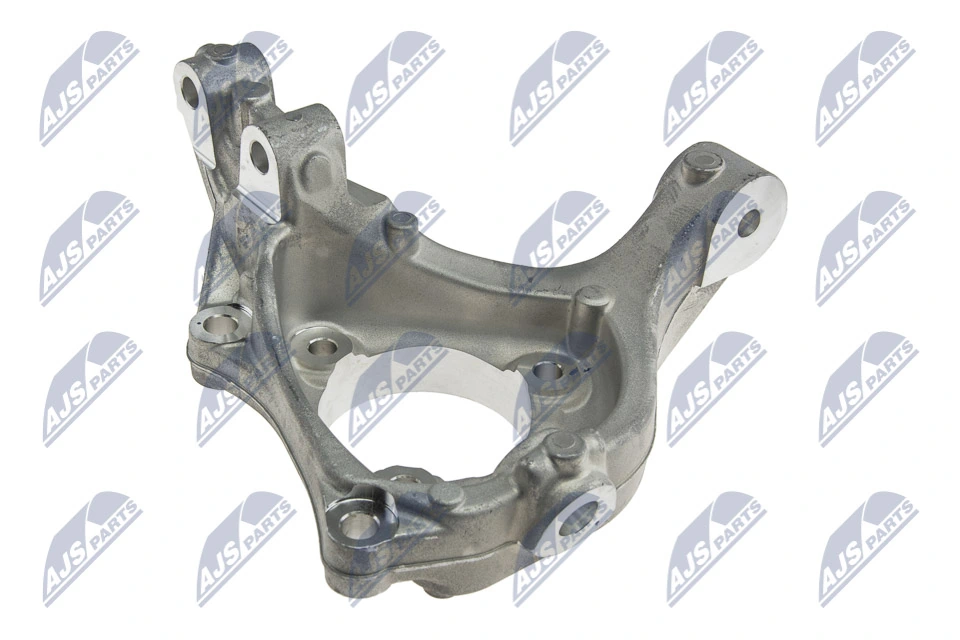 Steering Knuckle, wheel suspension ZZP-DW-003