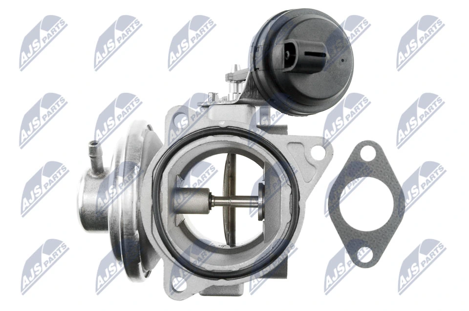 EGR Valve EGR-VW-011