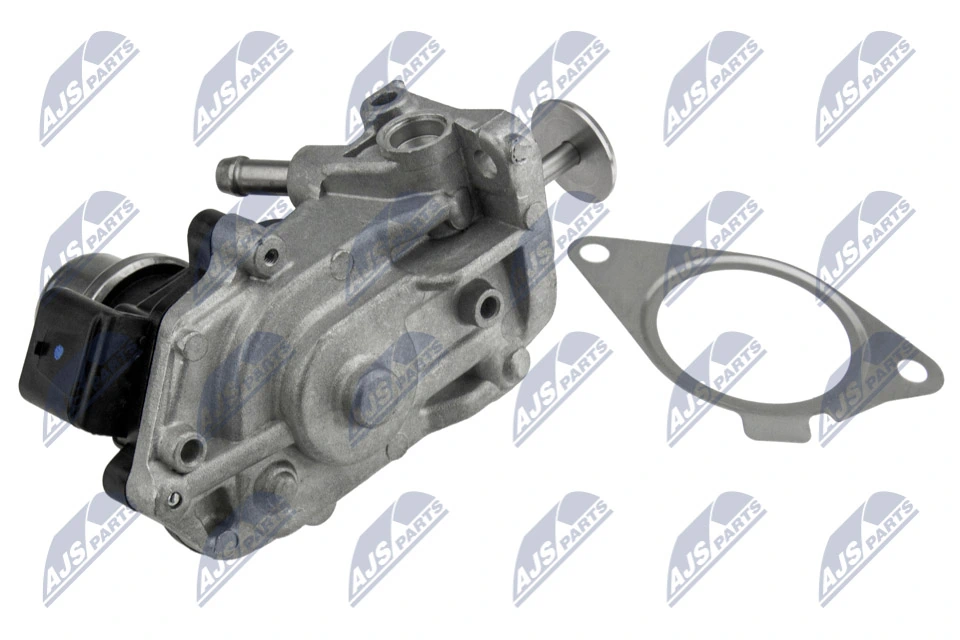 NTY EGR-BM-014 EGR Valve