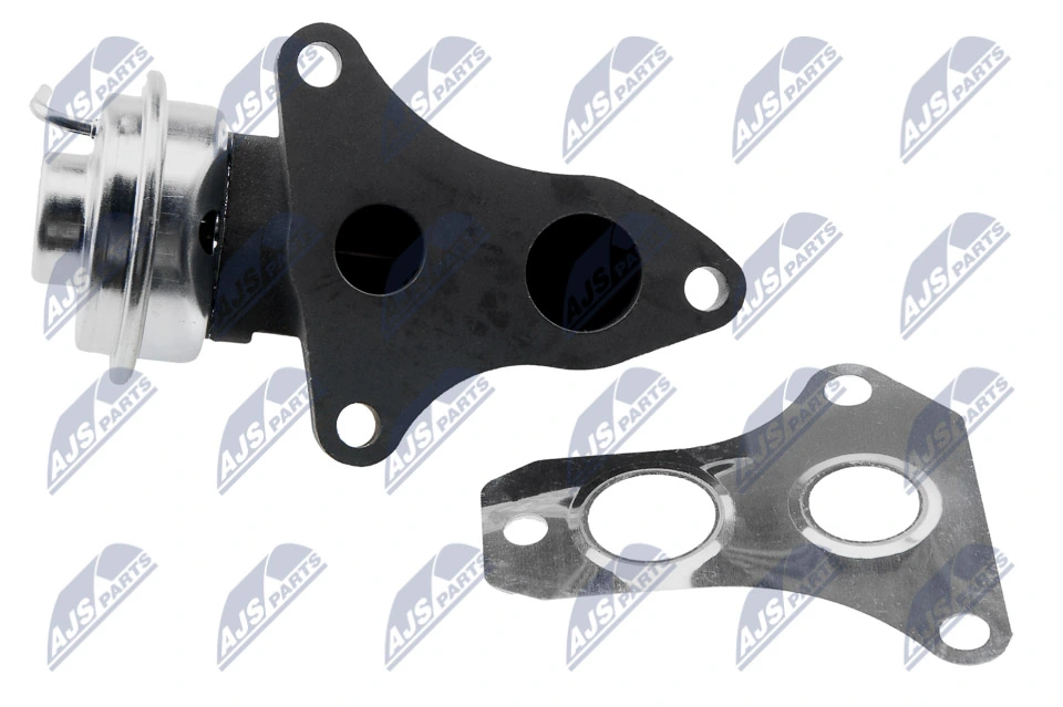 EGR Valve EGR-TY-010