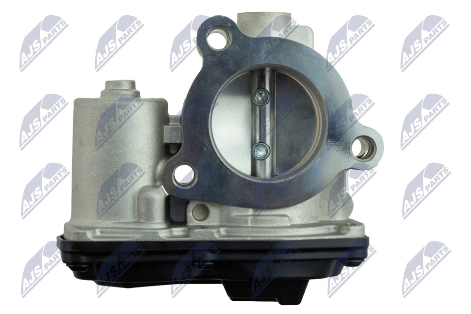 Throttle Body ETB-FR-009