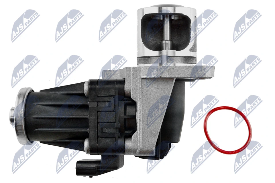EGR Valve EGR-RE-007