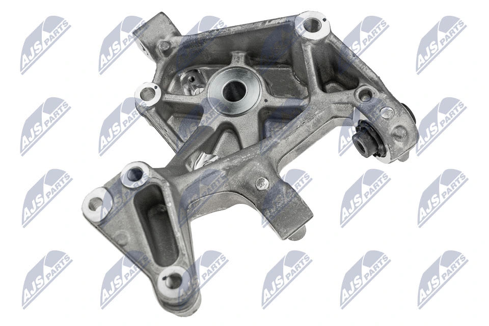 Steering Knuckle, wheel suspension ZZT-VW-001