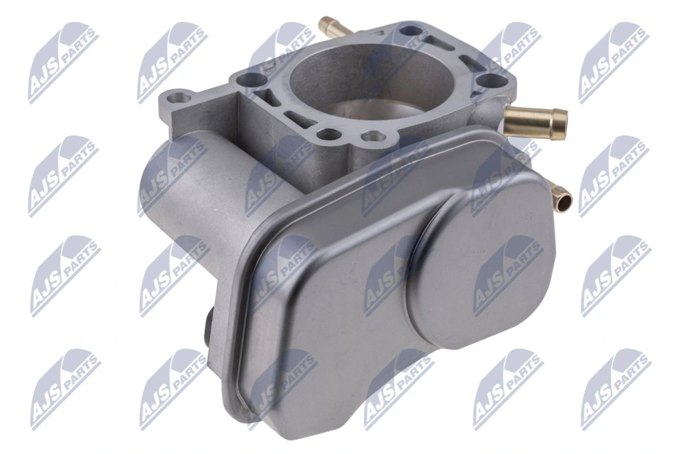 Throttle Body ETB-PL-009