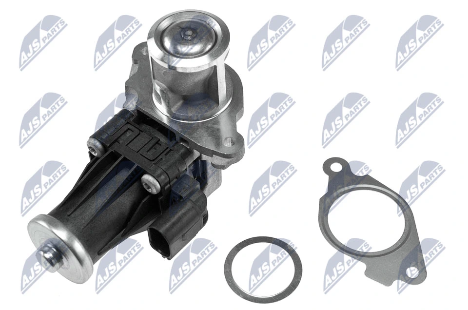 EGR Valve EGR-PL-012