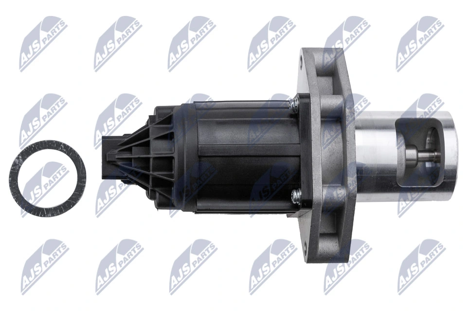EGR Valve EGR-PL-038