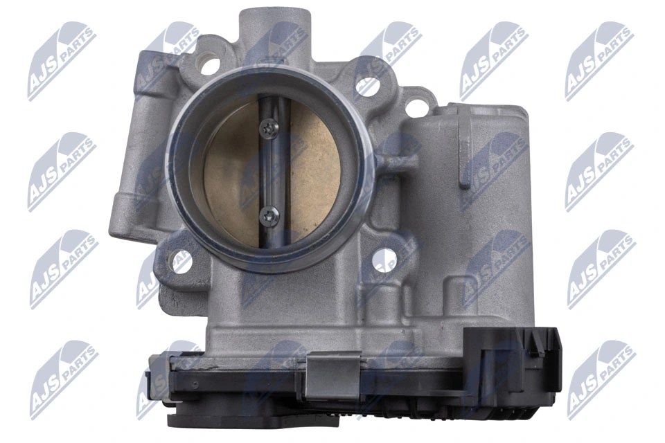 Throttle Body ETB-PL-012