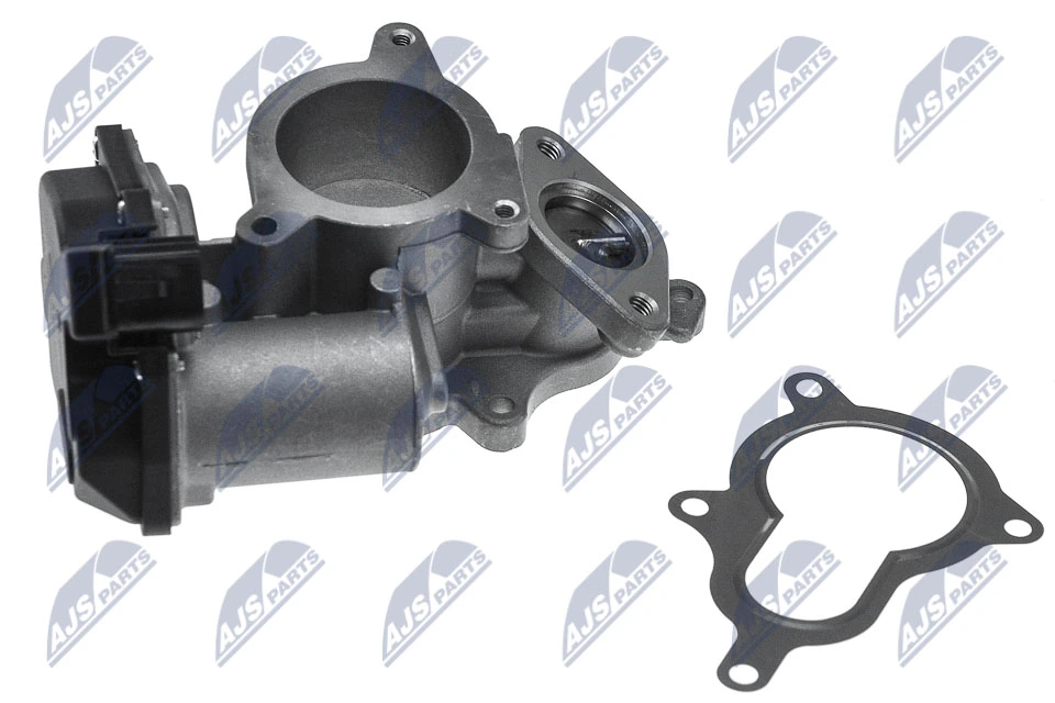 EGR Valve EGR-AU-005