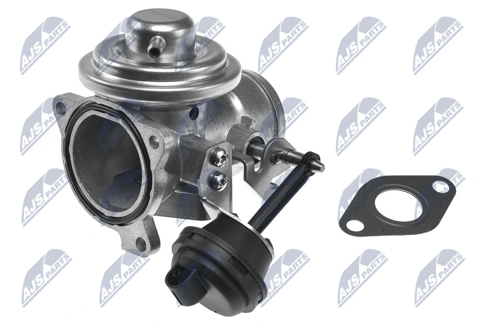 EGR Valve EGR-AU-003