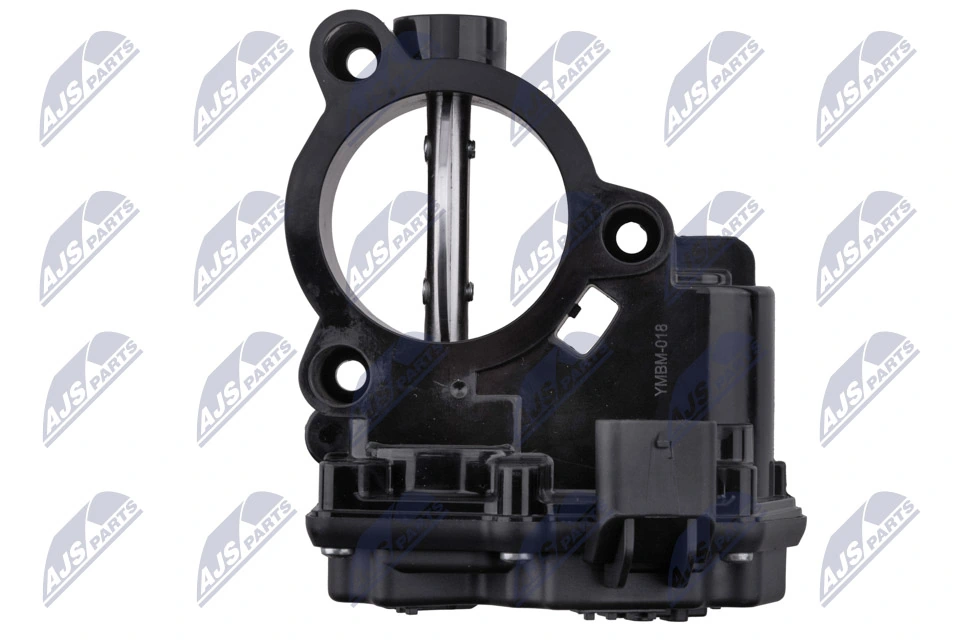 Throttle Body ETB-BM-018