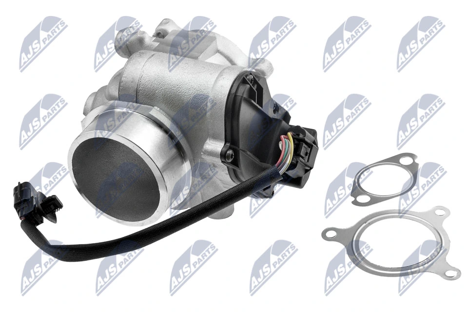 EGR Valve EGR-RE-012