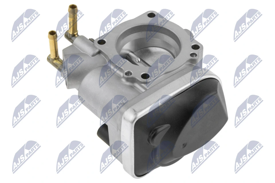 Throttle Body ETB-VW-025