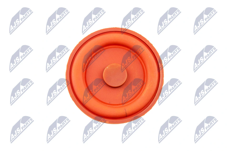 Cylinder Head Cover BPZ-PL-006