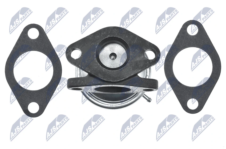 EGR Valve EGR-AU-016