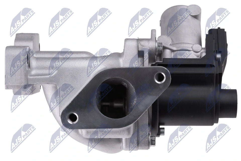 EGR Valve EGR-DW-010
