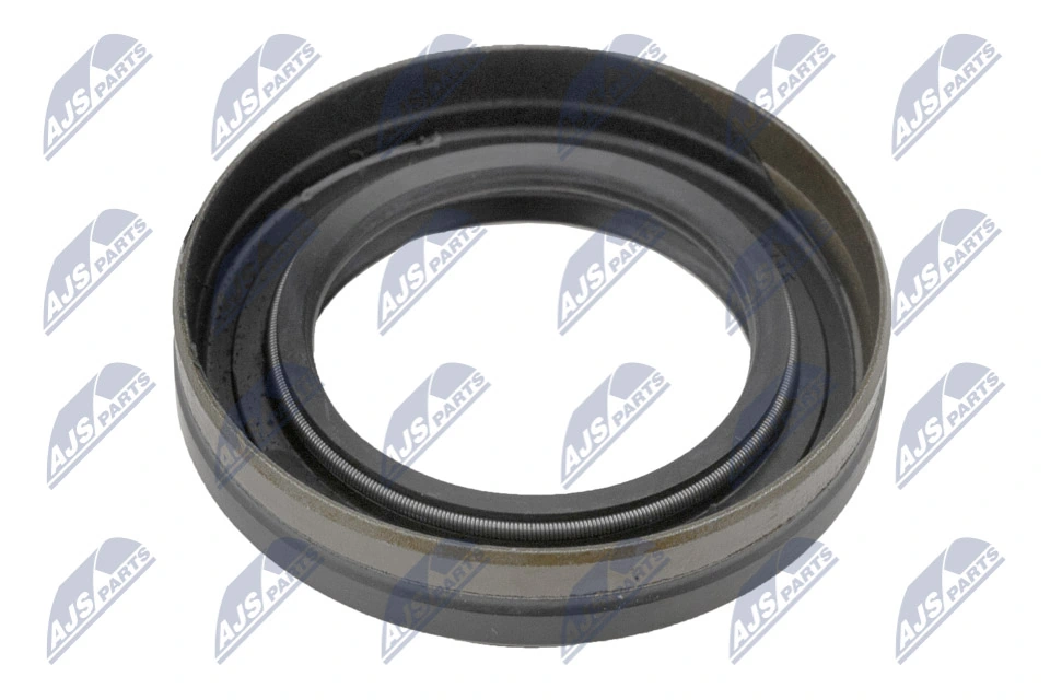 Shaft Seal, differential NUP-PL-001