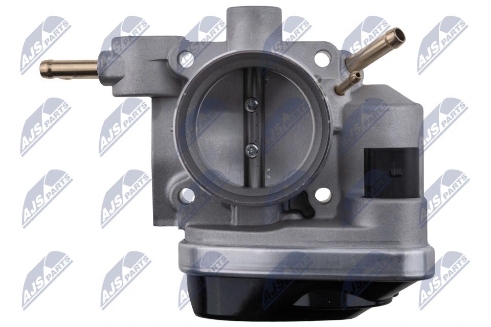 Throttle Body ETB-AU-010
