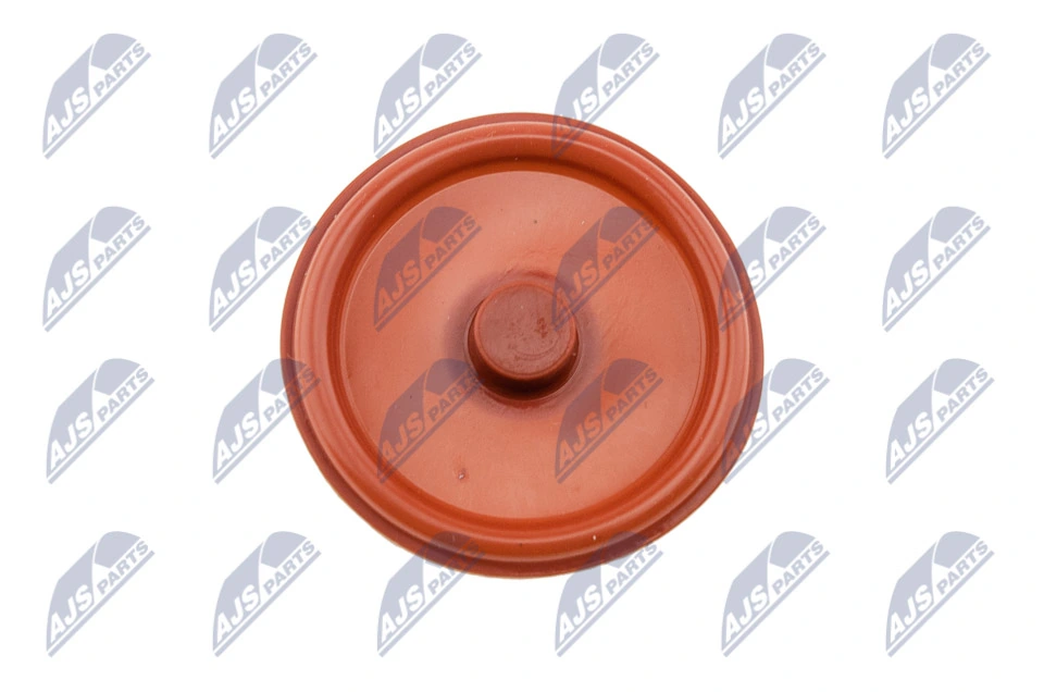 Cylinder Head Cover BPZ-PL-005