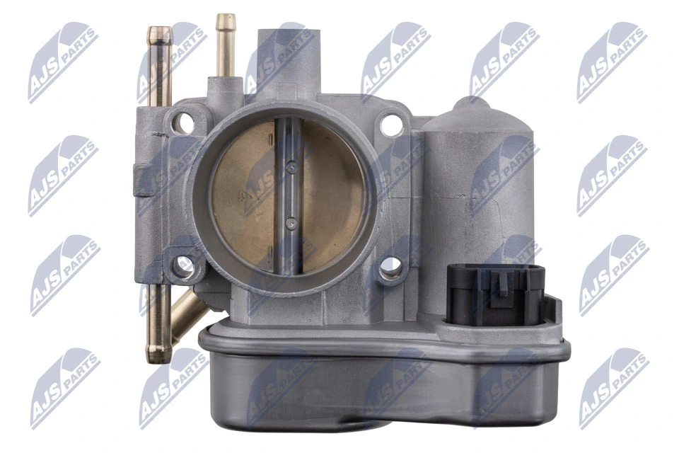 Throttle Body ETB-PL-009